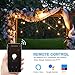 RUNACC Outdoor Dimmer for LED String Lights Dimming Controller with Alexa Voice control, APP Remote Control, Timer and Memory, US Plug White