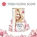 Clairol Nice'n Easy Permanent Hair Dye, 11C Ultra Light Cool Blonde Hair Color, 3 Count