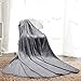 MEROUS Soft Queen Size Fleece Bed Summer Blanket 330 GSM Warm Cozy Microfiber Fuzzy Lightweight All Season Blankets for Couch Travel Sofa,Gray