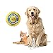 miPets Rechargeable Pet Nail Grinder - Luxury USB Nail Trimmer, File, Clipper & Cutter - for Your Dog, Cat, and Other Household Pets