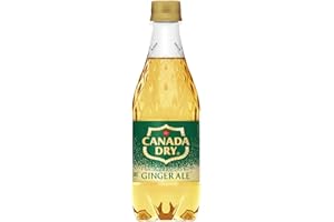 Ginger ale 500mlX24 this