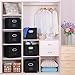 Magicfly Foldable Storage Cubes with Label Holders, Set of 6 Fabric Cloths Bins 12X 12 Inch with Handle for Home Organizer, Closet Storage Bins for Shelves, Black