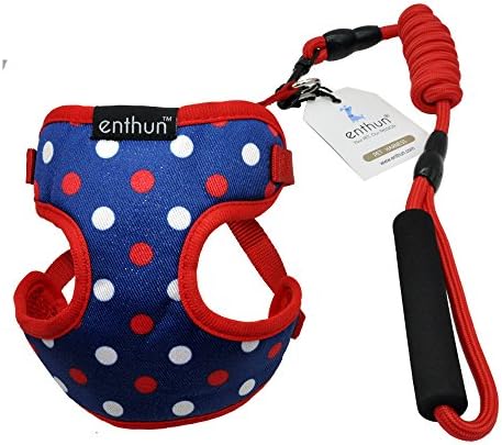 ENTHUN Comfort & Control Dog Harness 2-20 lbs, No Pull & No Choke Design, Support Mesh Padded Vest, Lightweight, Breathable, Cute Pattern For Puppies and Small Dogs