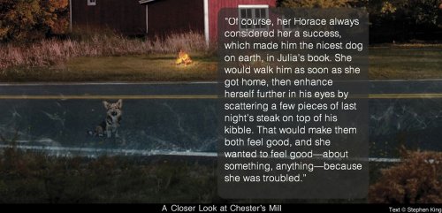 Under the Dome: A Novel - Thumbnail 6