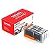 GALADA Compatible Ink Cartridge Replacement for Canon Pgi-250xl Cli-251xl 250 251 XL for Pixma Mg6320 Mg7120 Mg7520 Ip8720 Printer (grey 3-pack)
