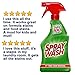 Spray 'N Wash Pre Treat Laundry Stain Remover Refill, 60 oz (Pack of 2)