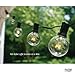 G40 Globe Lights Outdoor / Indoor String Lights with 100 Sockets and Bulbs, 100 Feet with 20 Extra Bulbs - Weather Resistant Light String for Patio, Deck, Backyard, Wedding, and More