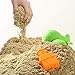 MOTION SAND Play Sand , 2.2LBS of Natural Sand and Motion Garden Playset with 14 Pcs Molds Kit, Non-Toxic Sand for Kids