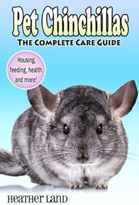 chinchilla pet guide