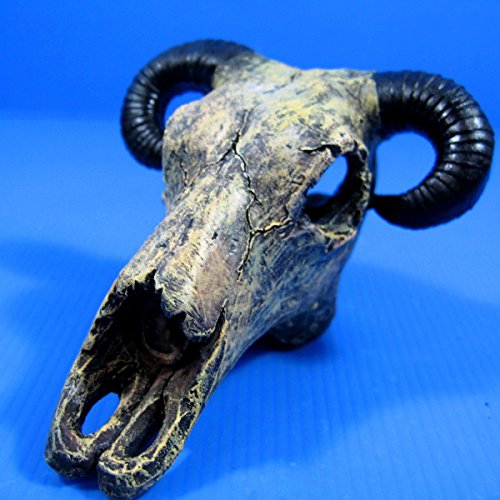 Goat Skull cave 4.9"x4.5"x3.2" Aquarium Ornament Decor resin fish tank hide bone