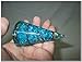 Exquisite Blue Orgone Antenna Cone Chakra Crystal Gemstones Agate Onyx Christmas Divine Spiritual Metaphysical Marvelous Brilliant Energetic Positive Powerful Peaceful Protection