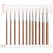 Mnixy 12 Pieces Artist Fine, Paint Brush for Acrylic, Watercolor Oil Painting