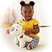 Fisher-Price Snugapuppy Calming Vibrations Soother
