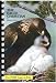 The Eagle Christian by