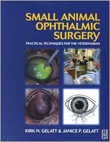 Small Animal Ophthalmic Surgery: A Practical Guide for the Practising