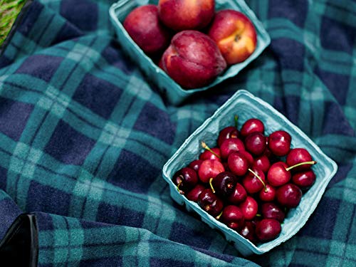 Picnic & Outdoor Blanket | Plush and Water-Resistant Outdoor Mat | Perfect for Camping, Beach, Park and Picnics | Marina Green Plaid - Thumbnail 2