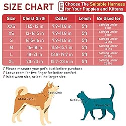 GAMUDA Small Pet Harness Collar and Leash Set, Step