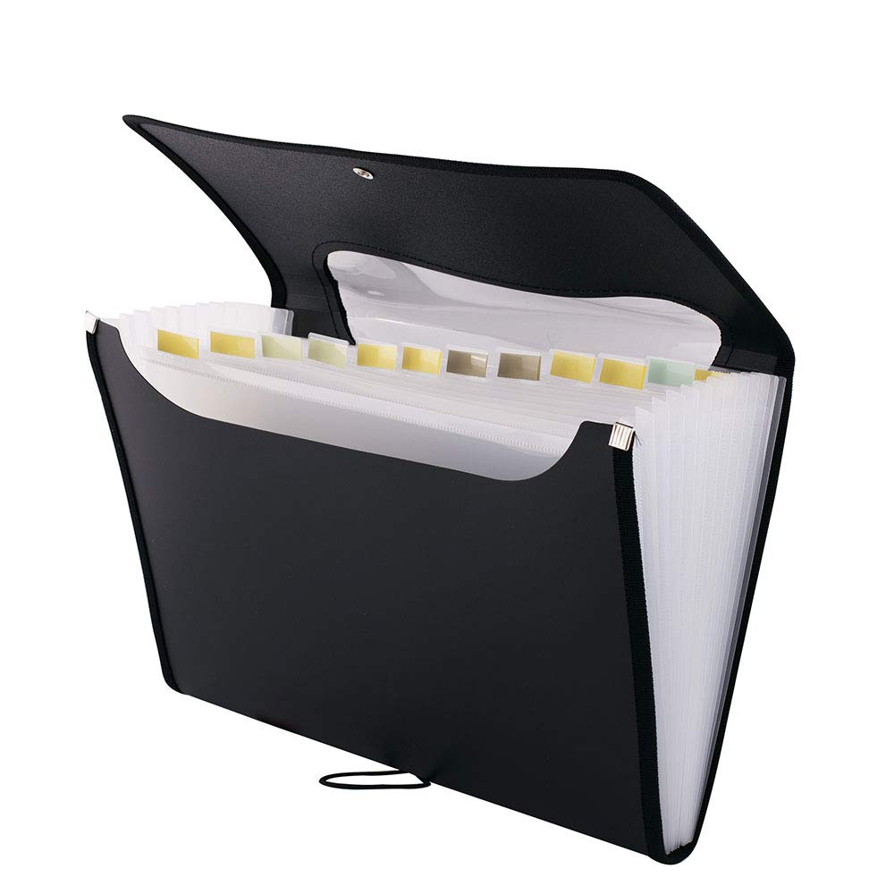D.RECT 5590 - A4 12-Pocket Expandable Folder | Expandable Binder Documents | Accordion Binder Pockets Briefcase | Perfect for Office, School and Home | Black