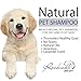 Dog Shampoo for Dry and Itchy Skin Made in The USA by Rockwell Pets Pro (16 fl oz) ideal paw cleaner for dogs with Aloe Vera Argan Oil Natural Willow Meadowsweet Chaparral and Olive Extracts