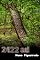 Livro 2422 AD