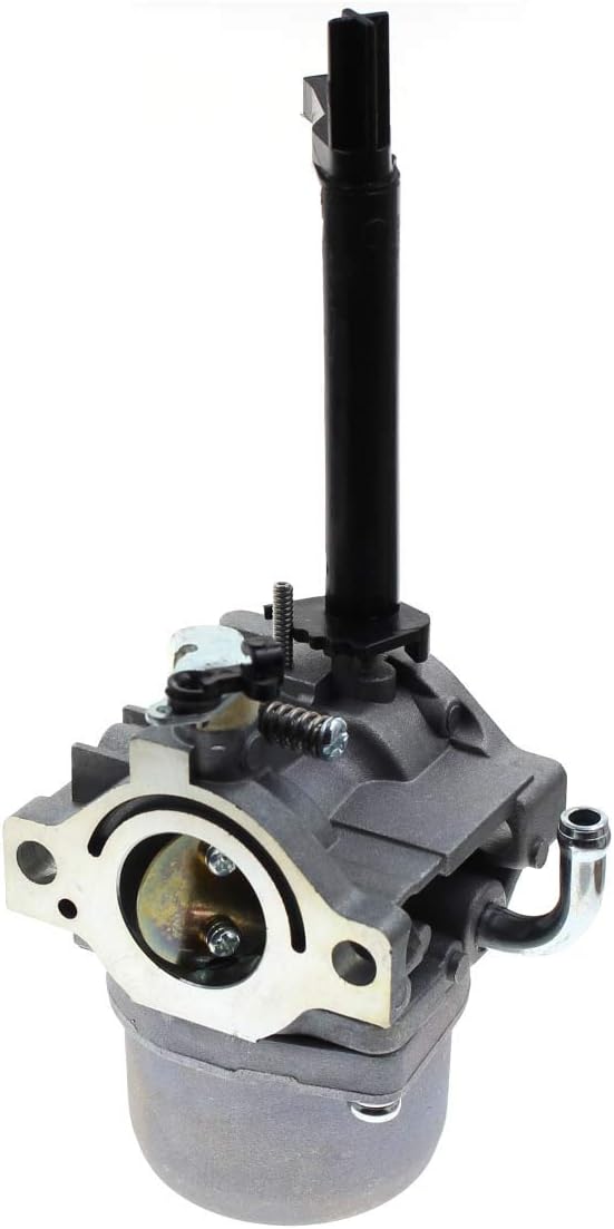 Carbhub 793778 Carburetor for Briggs & Stratton 698305 793778 Snowblower Briggs & Stratton 1450 Series Engine Craftsman Nikki 793779 Carb - 793778 Carburetor : Garden & Outdoor