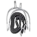 Korsteel Pow Never Rust Spurs with Straps, Ladies 3/4