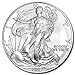2007-1 Ounce American Silver Eagle Low Flat Rate Shipping .999 Fine Silver Dollar Uncirculated US Mint