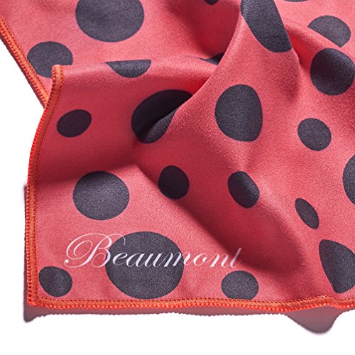 Flute Cleaner Cleaning Cloth - Lint Free, Microfibre  - Beaumont Red Ladybug
