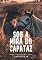 Livro Sob a Mira do Capataz (Segredos do Campo Livro 3)