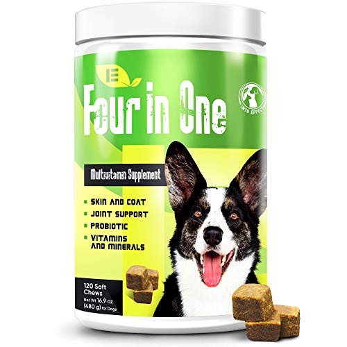 Into Effect 4 in 1 Dog Multivitamin Essential Dog Vitamins and Supplements for Joints, Immune