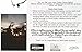 Our Luminosity Project 25ft Globe String Lights, Strong Black Wire, 25 Durable Bulbs (+5 Extra), Indoor Outdoor, Rooms, Backyard Deck Patio, Wedding or Event