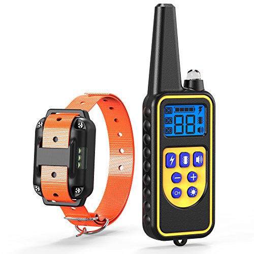 veckle dog training collar