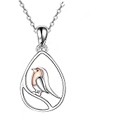 Hummingbird Necklace, Bird Teardrop Pendant Animal Memorial Jewelry Birthday Gifts for Women Bird Lovers