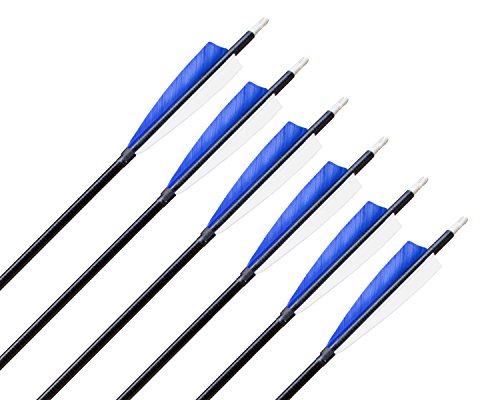 Archery sharly 31" Fiberglass Targeting Practice Arrows Fletching with 5'' Natural Feathers and Replacement Tips for Recurve and Long Bow (12 Pack)
