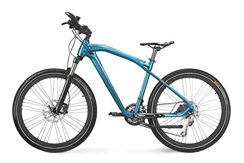 bmw cruise bike nbg iii