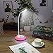 DAMULY LED Desk Lamp 3-Way Touch Control Switch, Full Color Adjustment, Eye-Caring Table Lamps (7)