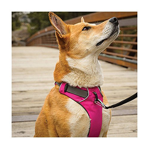 ruffwear anti pull harness