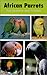 African Parrots by 