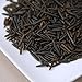 Minnesota Grown Wild Rice (5 lb.)