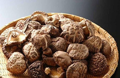 Hohoshi Premium Grade Shiitake Dried Mushroom, 16 oz