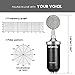 ZINGYOU BM-8000 Professional Studio Condenser Microphone Set, XLR Condenser Mic Bundle for Recording (Black)