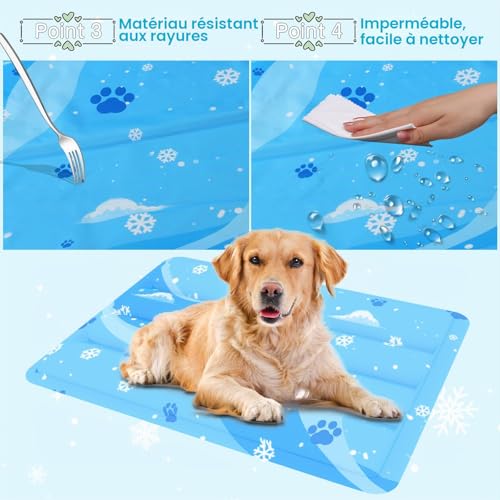 Dog Cat Cooling Mat with Non-Toxic Gel Self-Cooling Pad Scratch Resistant Durable for Summer (Blue, 50 x 90cm)