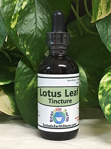 100% Organic Lotus Leaf Tincture ~ 1 Ounce Bottle ~ - Thumbnail 2