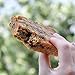 KNOW Foods Gluten Free Protein Bars, Low Carb, Paleo + Keto Friendly - 4 Count