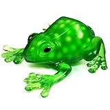 Squeezy Frog Squidgy Sensory Toy - Fiddle Fidget Stress Sensory Autism ADHD