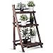 Giantex 3 Tier Folding Wooden Plant Stand, Indoor Flower Pot Holder Display Rack, Free Installation Corner Plants Storage Shelf, Foldable Rustic Wood Ladder Shelf for Home Patio Balcony Garden
