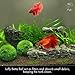 Luffy Betta Balls : Live Round-Shaped Marimo Plant : Natural Toys for Betta Fish : Aquarium Safethumb 3