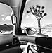 Lee Friedlander: America by Car (D.A.P./FRAENKEL)