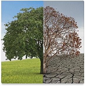 Amazon Com Interestprint Tree Of Life Half Alive And Half Dead