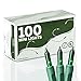 100 Green Miniature Christmas Lights Set - Mini Holiday String Lights